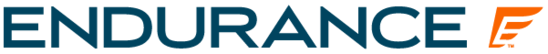 endurance logo