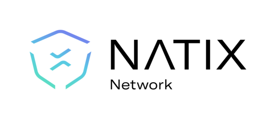 NATIX logo