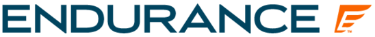 Endurance logo